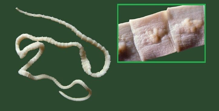 Breites Klebeband