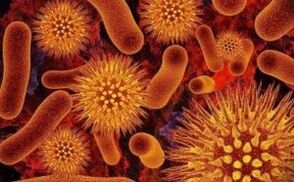 Arten von Parasiten im menschlichen Körper