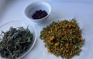 Kräuter zur Beseitigung von Parasiten aus dem Körper.